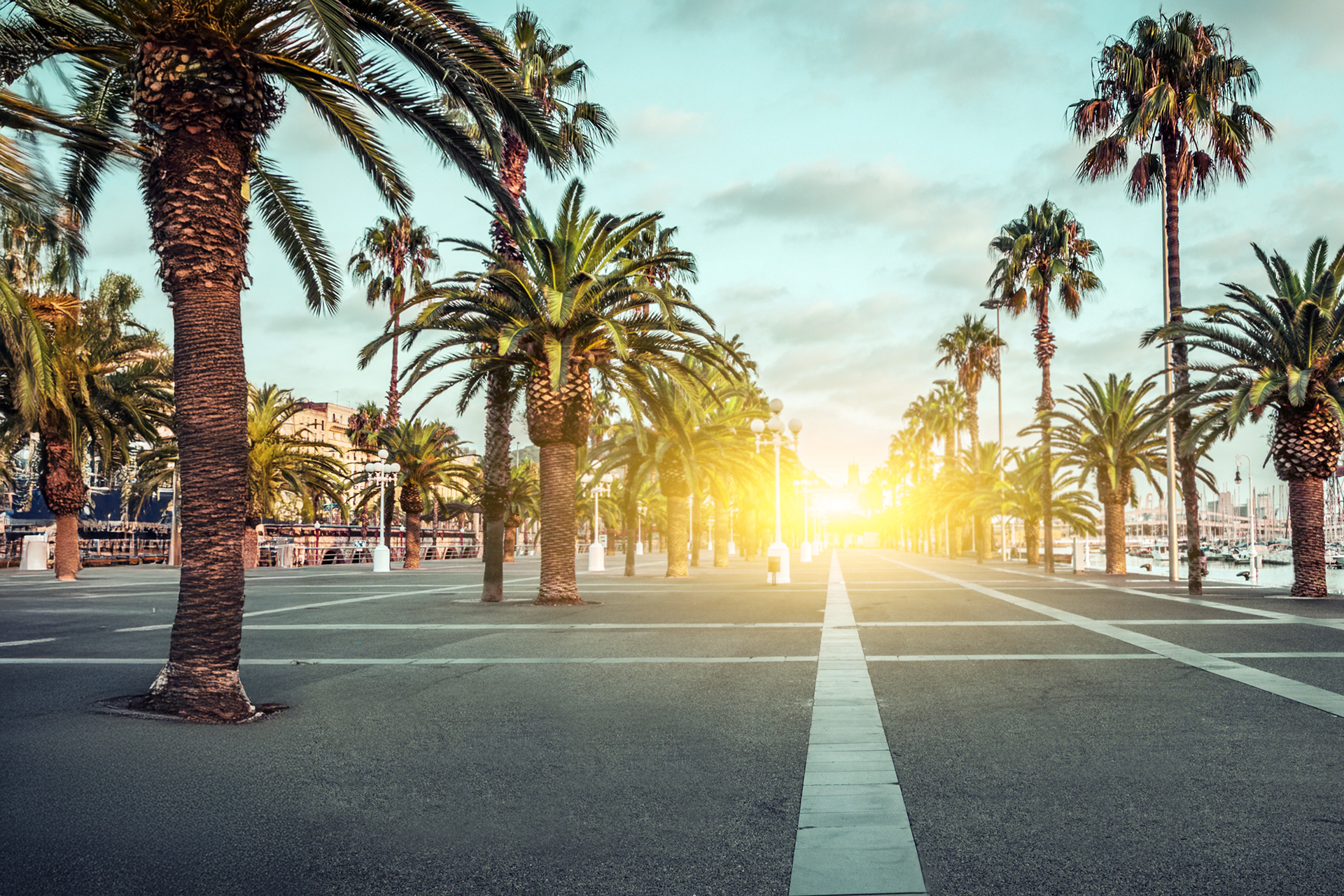 Solve Workflow Problems