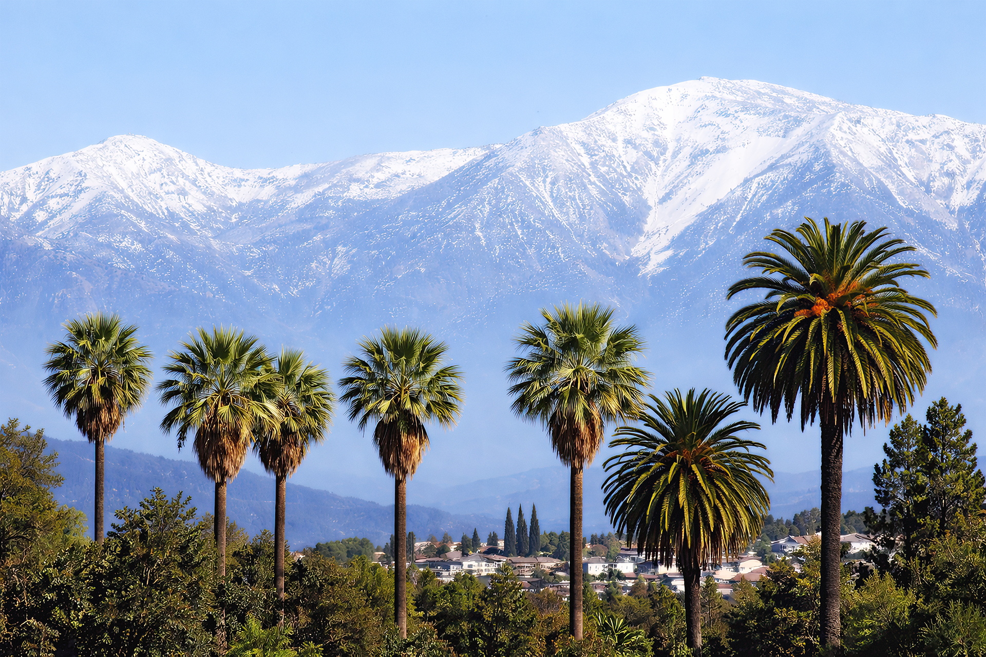 Solve Workflow Problems